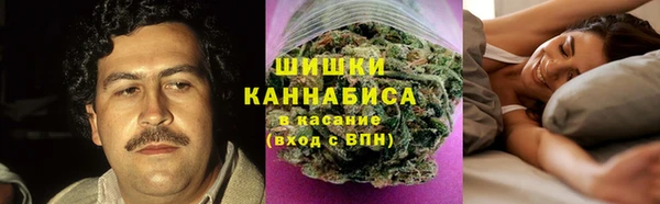 спайс Калининец