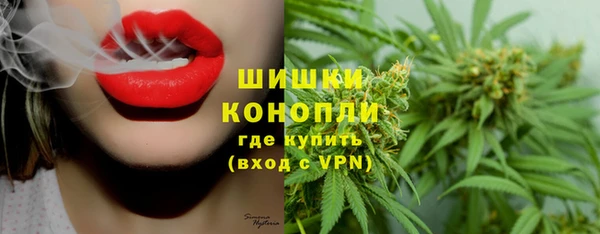 стаф Фёдоровский