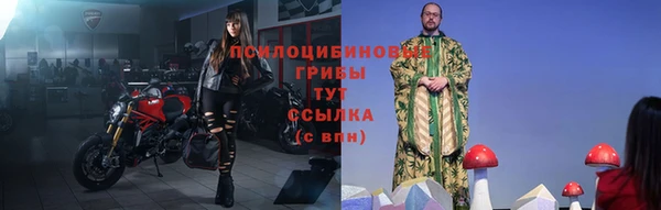 спайс Калининец