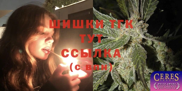 стаф Фёдоровский