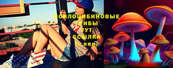 соль ск Нестеровская