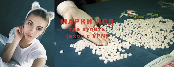 спайс Калининец