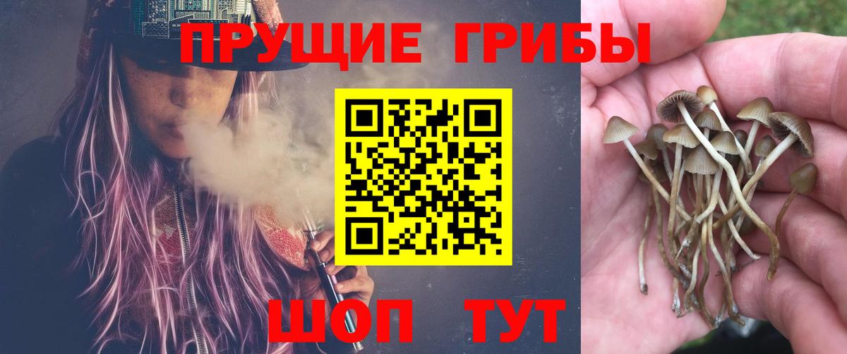 Псилоцибиновые грибы ЛСД Вольск