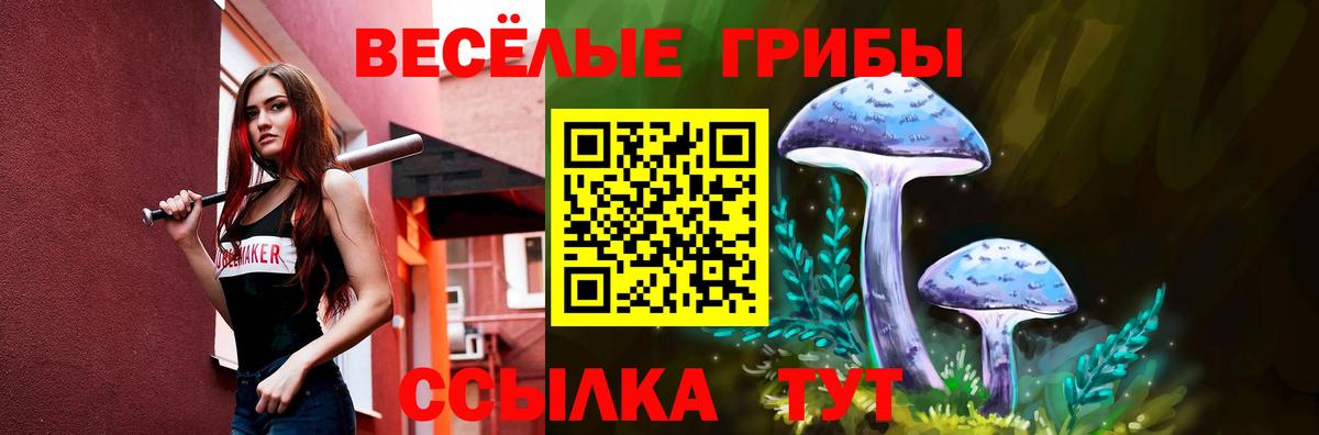 Вольск  Псилоцибиновые грибы Psilocybe  как найти наркотики  Вход с VPN 