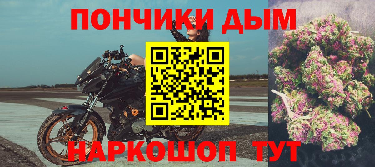 Канабис Bruce Banner  Вольск  Каннабис сатива  МАРИХУАНА план 